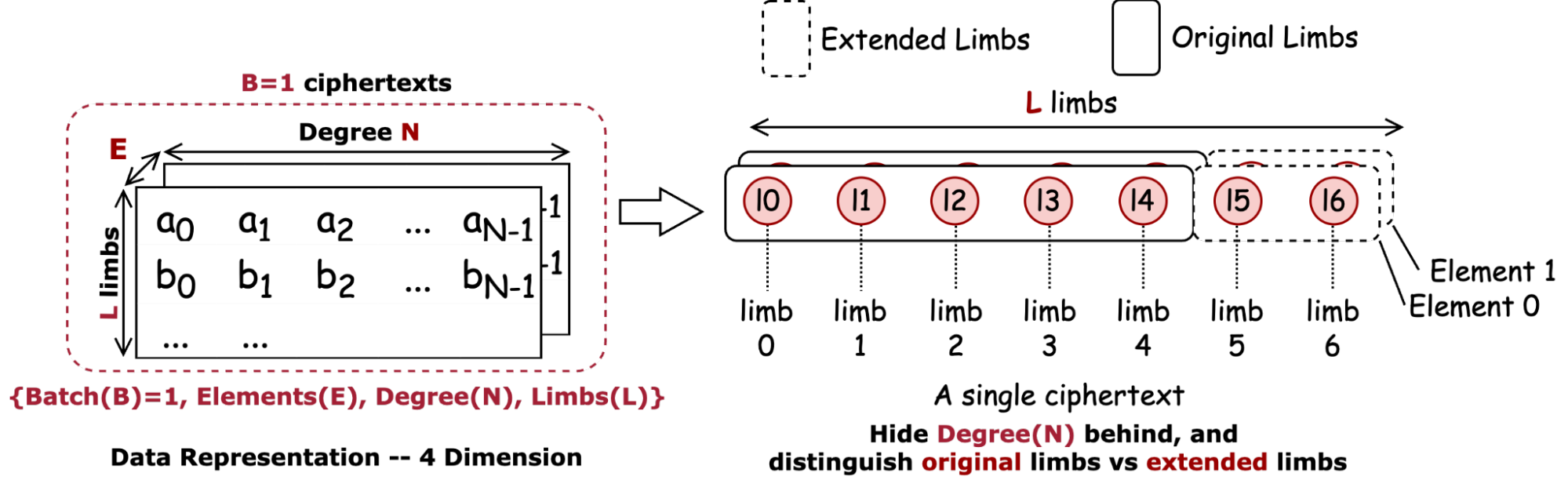 Simplified Limb Representation